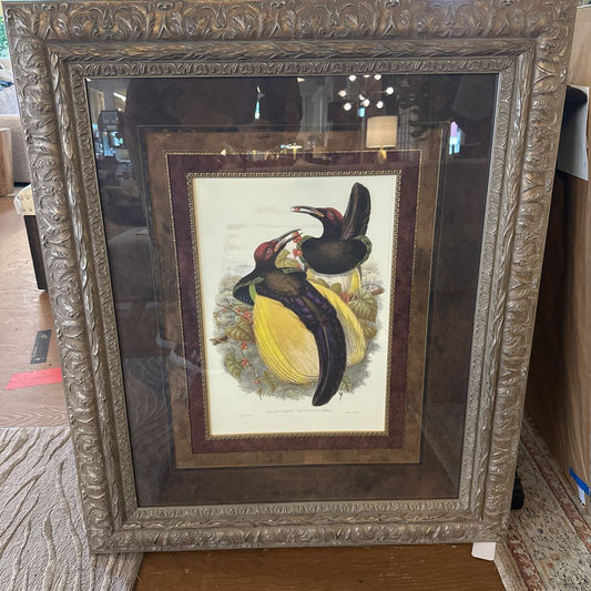 A large, ornately carved silver-toned frame surrounding a botanical-style illustration of two dark-feathered birds with red accents perched on a yellow fruit, double-matted with brown and cream borders.