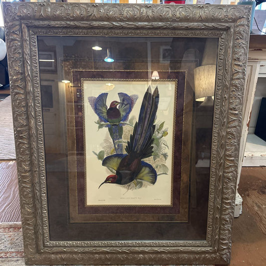 Framed artwork of a bird with decorative frame