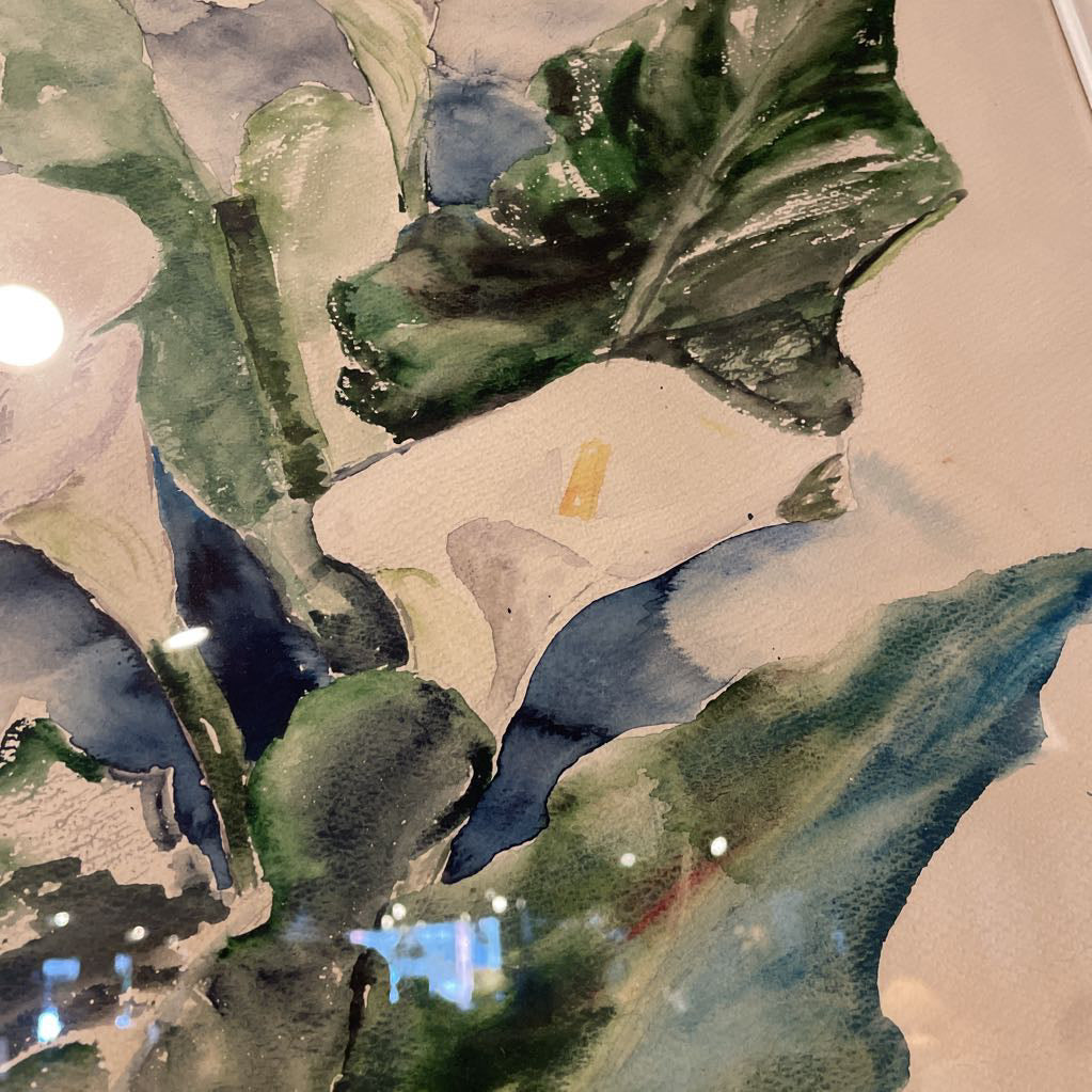 Jean Ingraham White Calla Lilies Watercolor ART