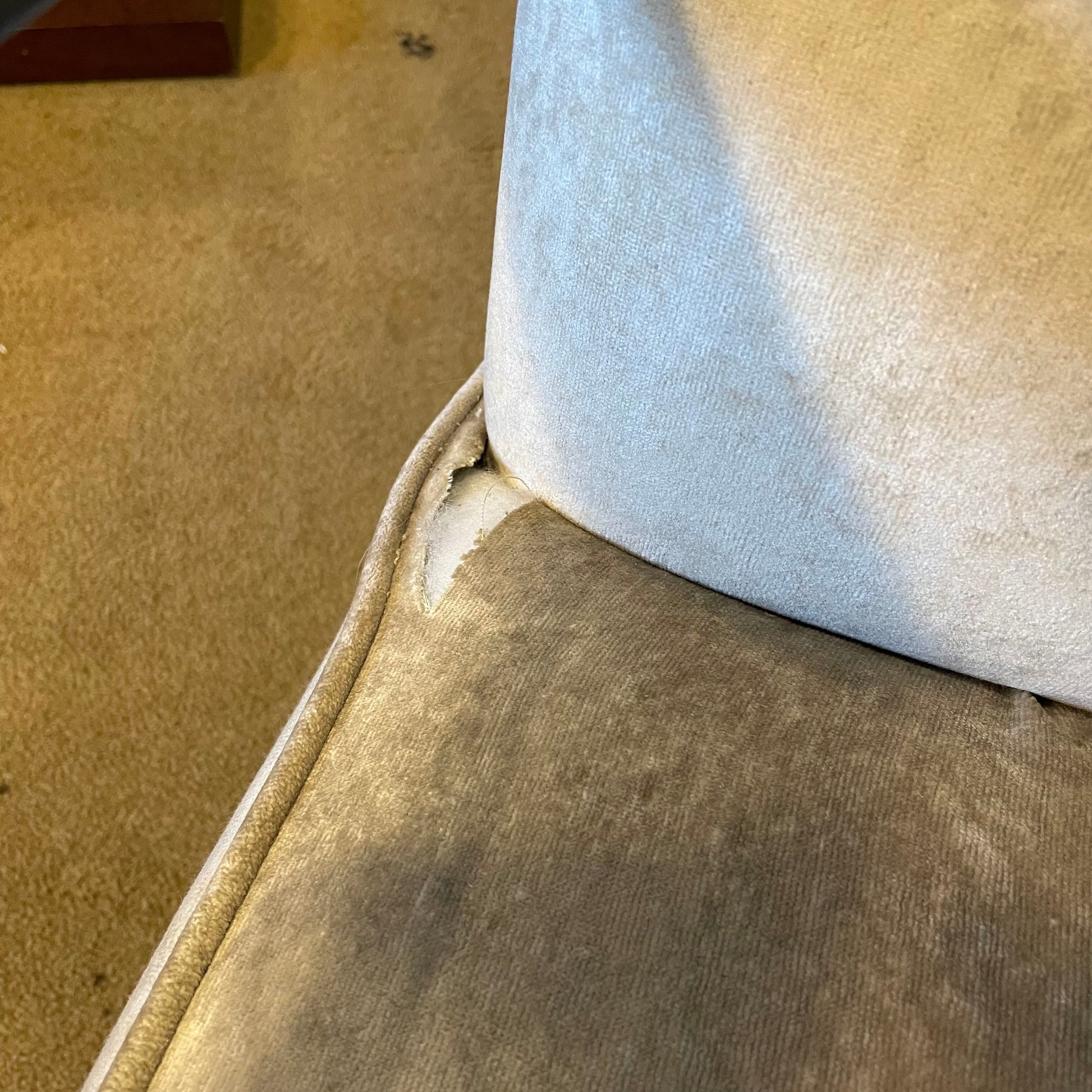 Sand Velvet & Black Wood Arm Chair U ACCENT CHAIRS