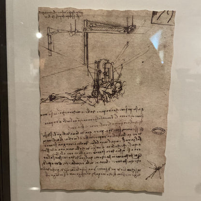 Leonardo de Vinci Shadowbox Sketch Art Series ART