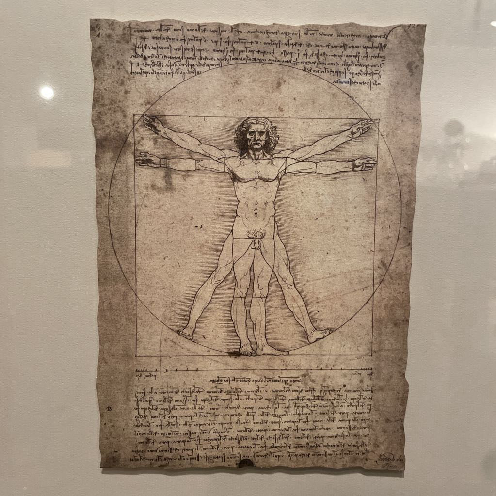 Leonardo de Vinci Shadowbox Sketch Art Series ART