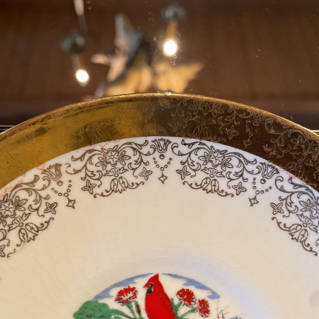 Vintage Ohio Souvenir Teacup & Saucer Set