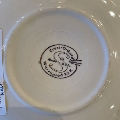 Vintage Ohio Souvenir Teacup & Saucer Set