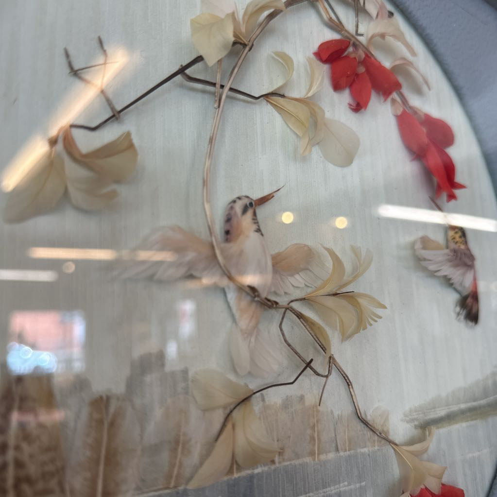 Hummingbird Shadowbox Artwork ART