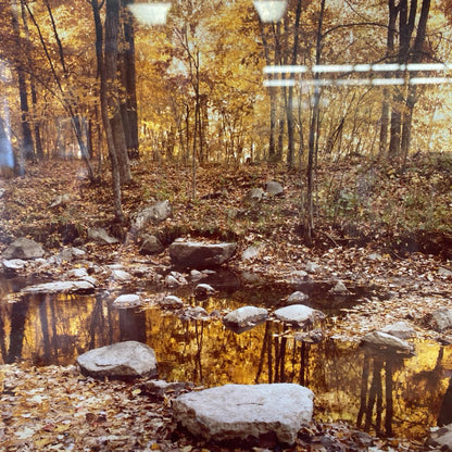 Signed DOUG LARSON WHITE OAK CANYON Photograph ART