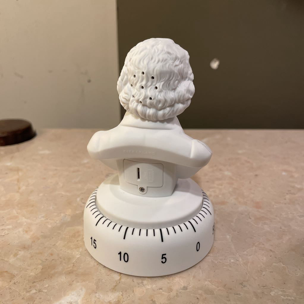 Beethoven Kitchen Timer! UNIQUE FINDS