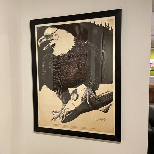 Tony Angell "The American Bald Eagle" Framed Illustration ART