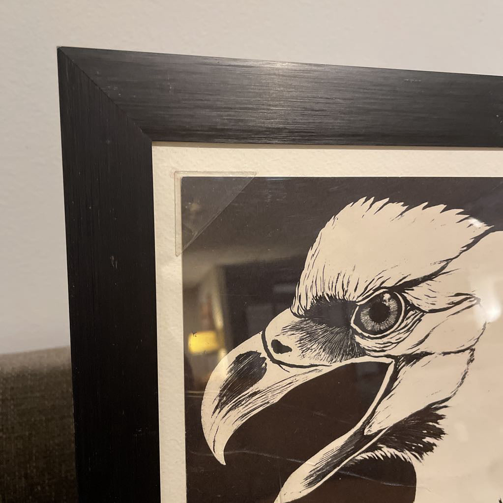 Tony Angell "The American Bald Eagle" Framed Illustration