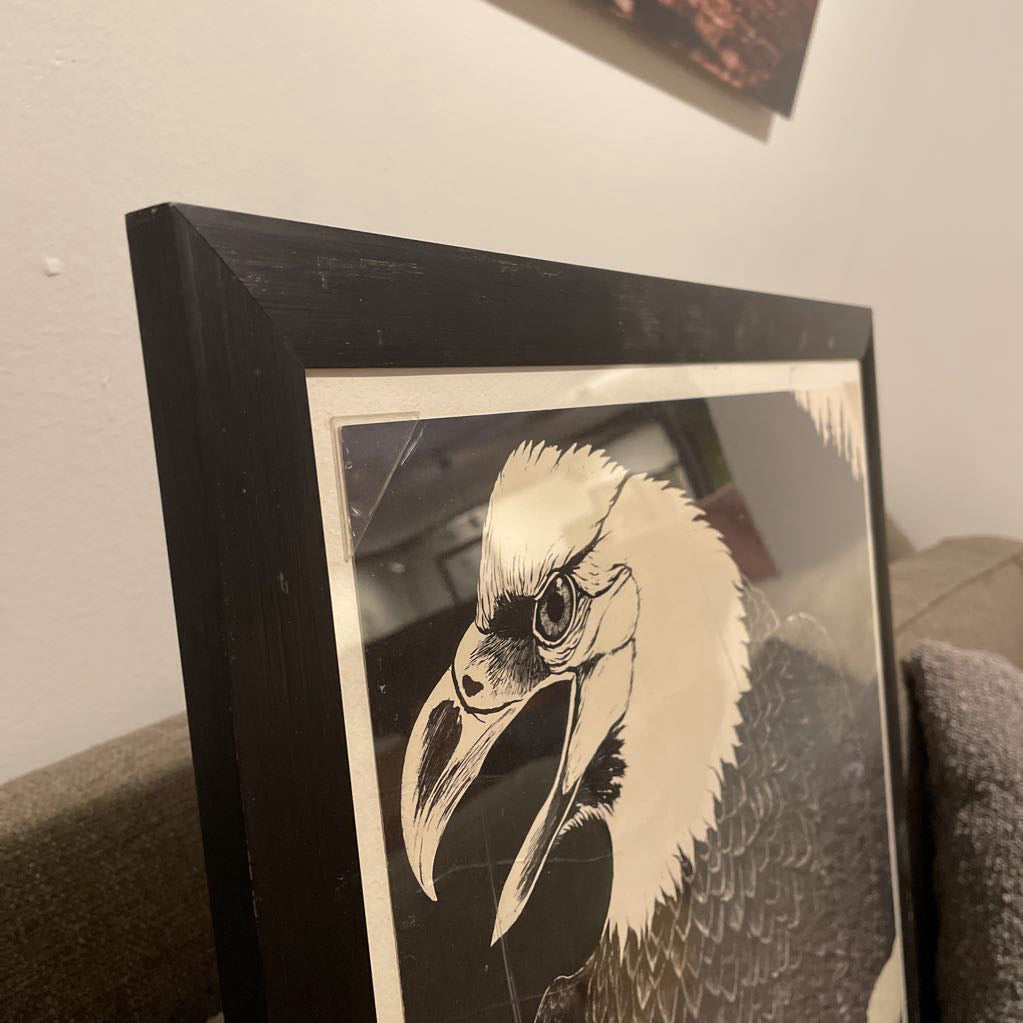 Tony Angell "The American Bald Eagle" Framed Illustration