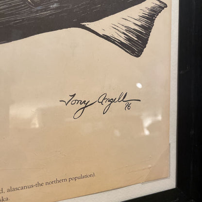 Tony Angell "The American Bald Eagle" Framed Illustration