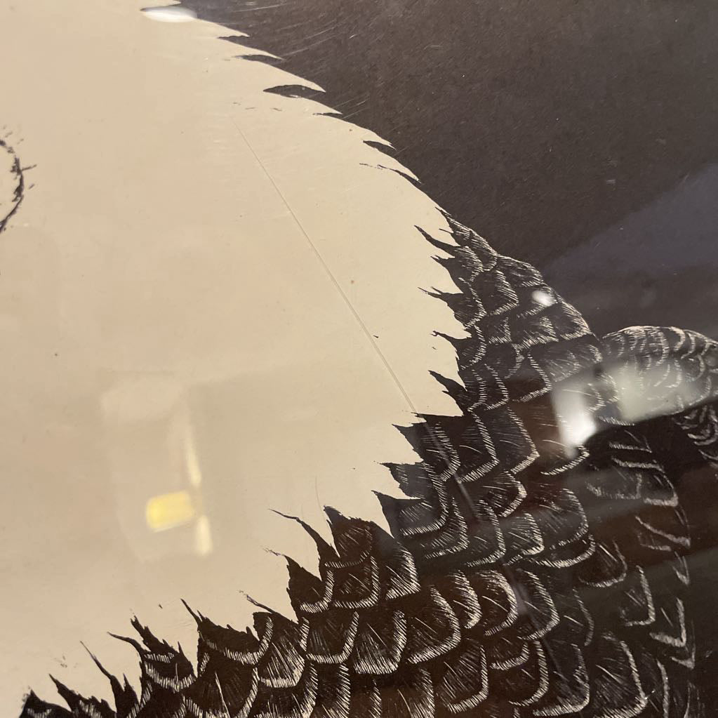 Tony Angell "The American Bald Eagle" Framed Illustration