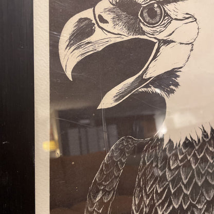 Tony Angell "The American Bald Eagle" Framed Illustration