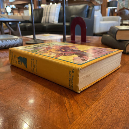Vintage 1930's Robinson Crusoe Illustrated Book UNIQUE FINDS