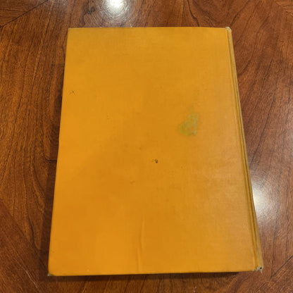 Vintage 1930's Robinson Crusoe Illustrated Book UNIQUE FINDS