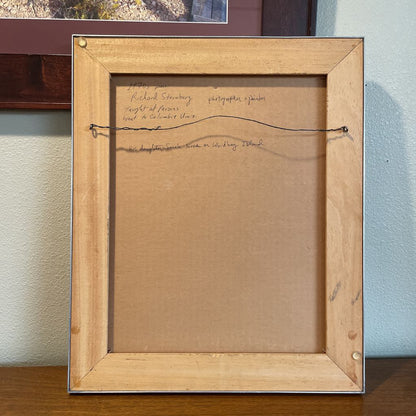 "Deconstructed" Gun Framed Photo Art