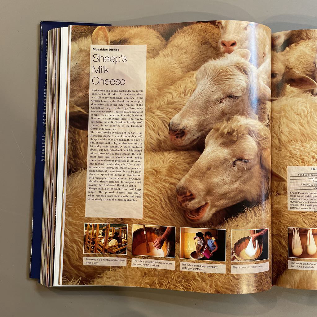 Culinaria--Two Volume Cookbook Set in Sleeve UNIQUE FINDS