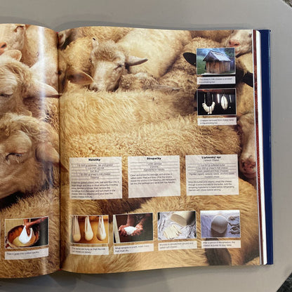 Culinaria--Two Volume Cookbook Set in Sleeve UNIQUE FINDS