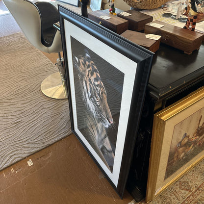 Large Framed Signed Tiger Print