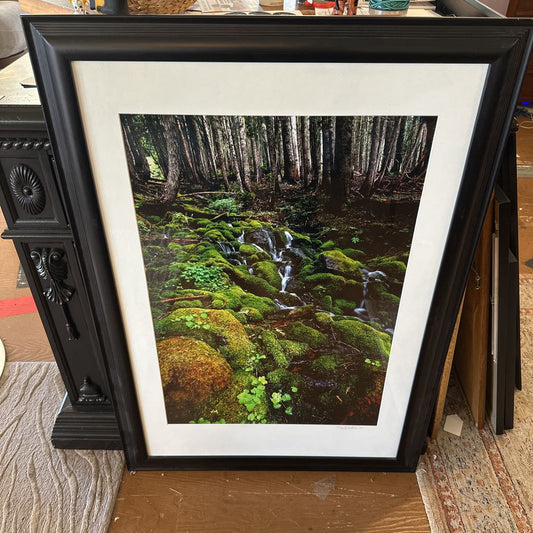 Signed Vibrant Mossy Waterfall