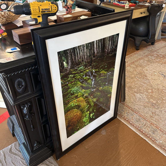 Signed Vibrant Mossy Waterfall