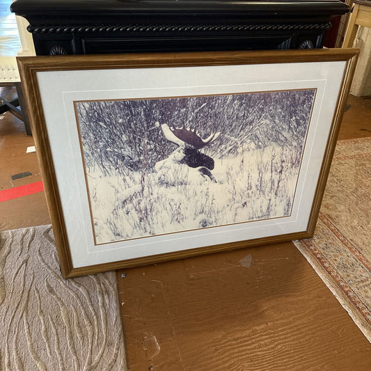 Signed Snowy Moose Print (Mangelsen)