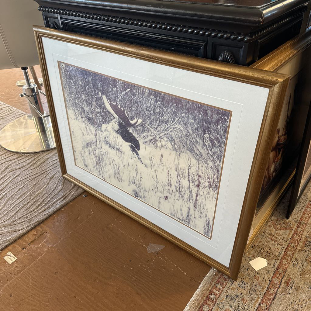 Signed Snowy Moose Print (Mangelsen)