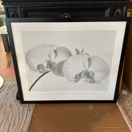 Tom Ferguson Signed Print