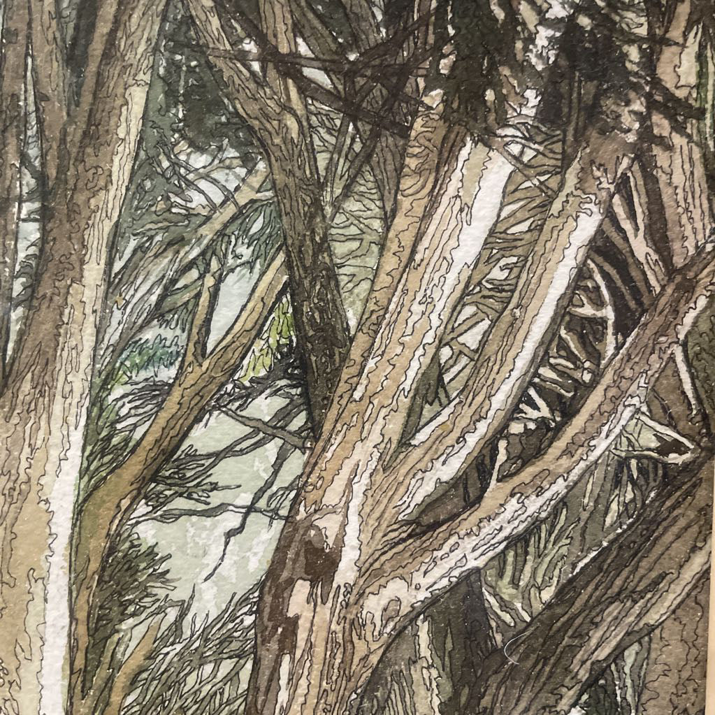 California Artist Trees by a Lane Framed Art ART