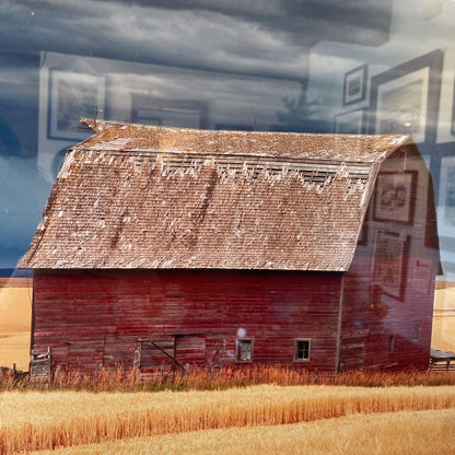 Large Framed Photo of Red Barn with Wheat Field