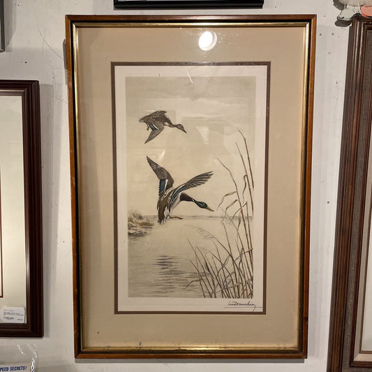 Diving Ducks on Lake Art ART
