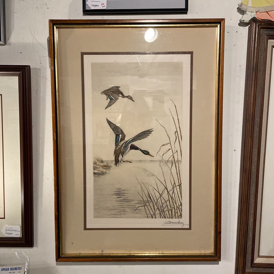 Diving Ducks on Lake Art ART