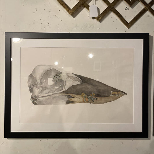 Watercolor Bird Skull Art ART