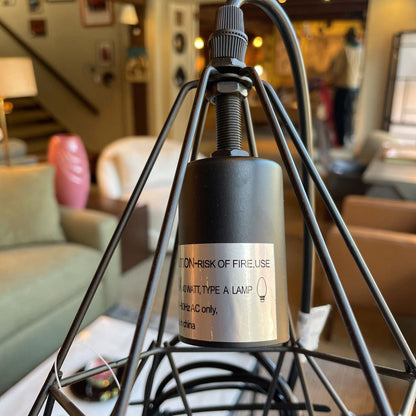 Black Wire Cage Pendant Lamp
