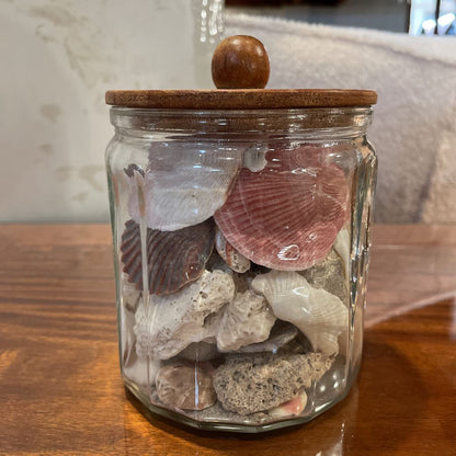 Jar of Shells SMALLS