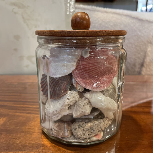 Jar of Shells SMALLS