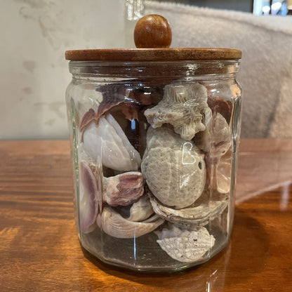 Jar of Shells SMALLS