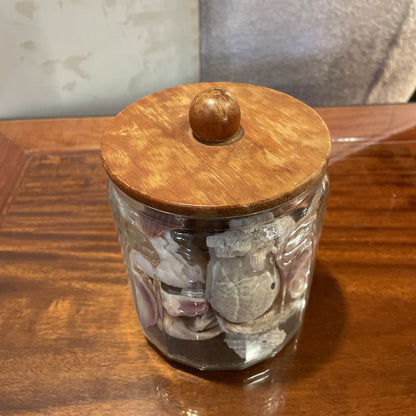 Jar of Shells SMALLS