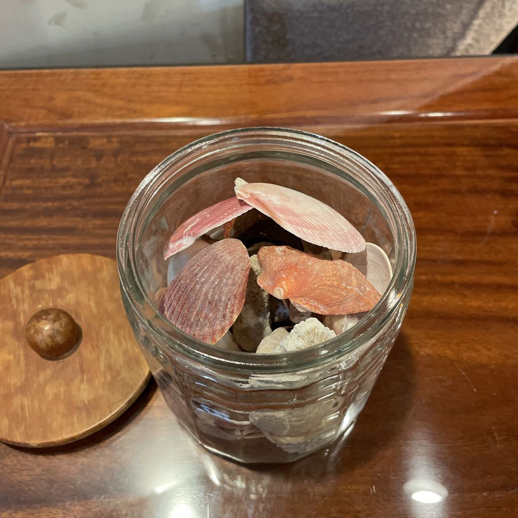 Jar of Shells SMALLS