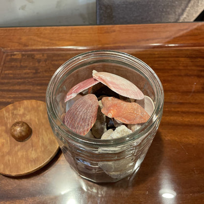 Jar of Shells SMALLS