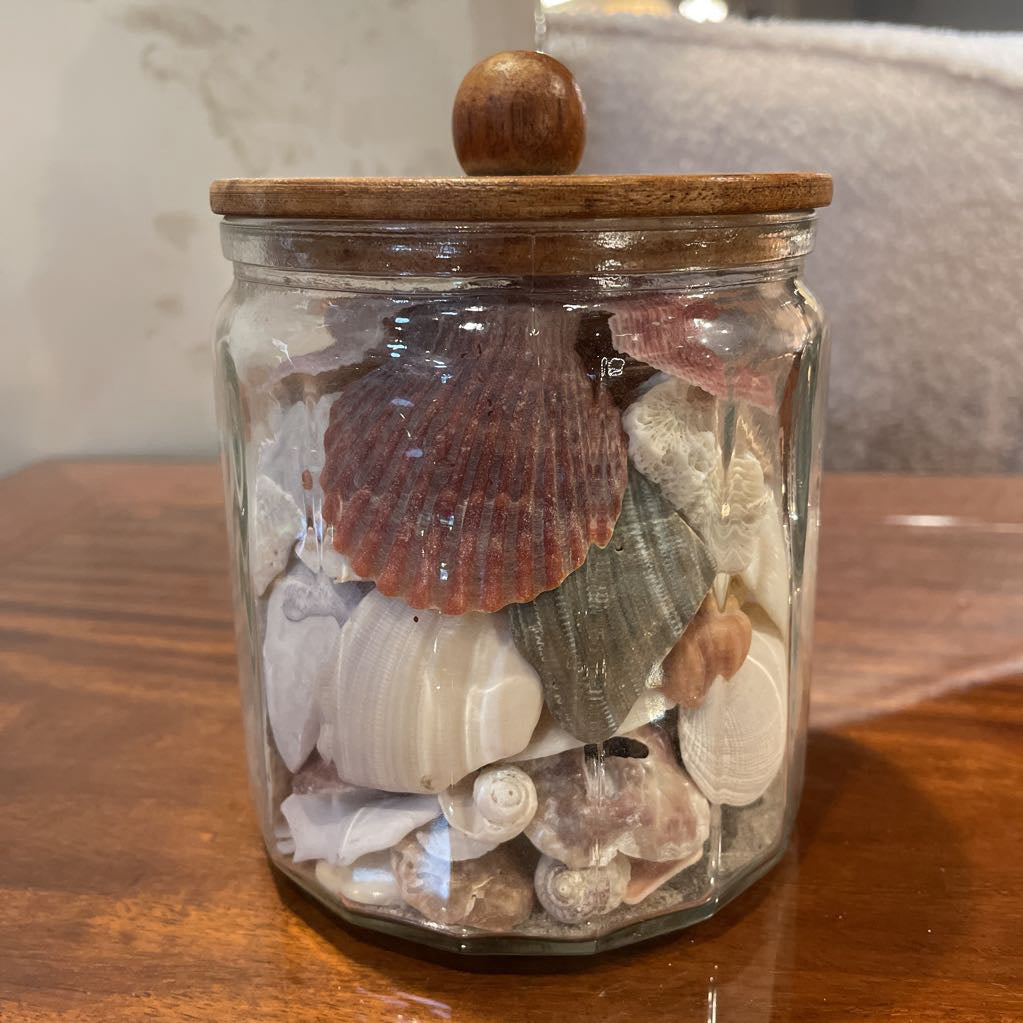 Jar of Shells SMALLS