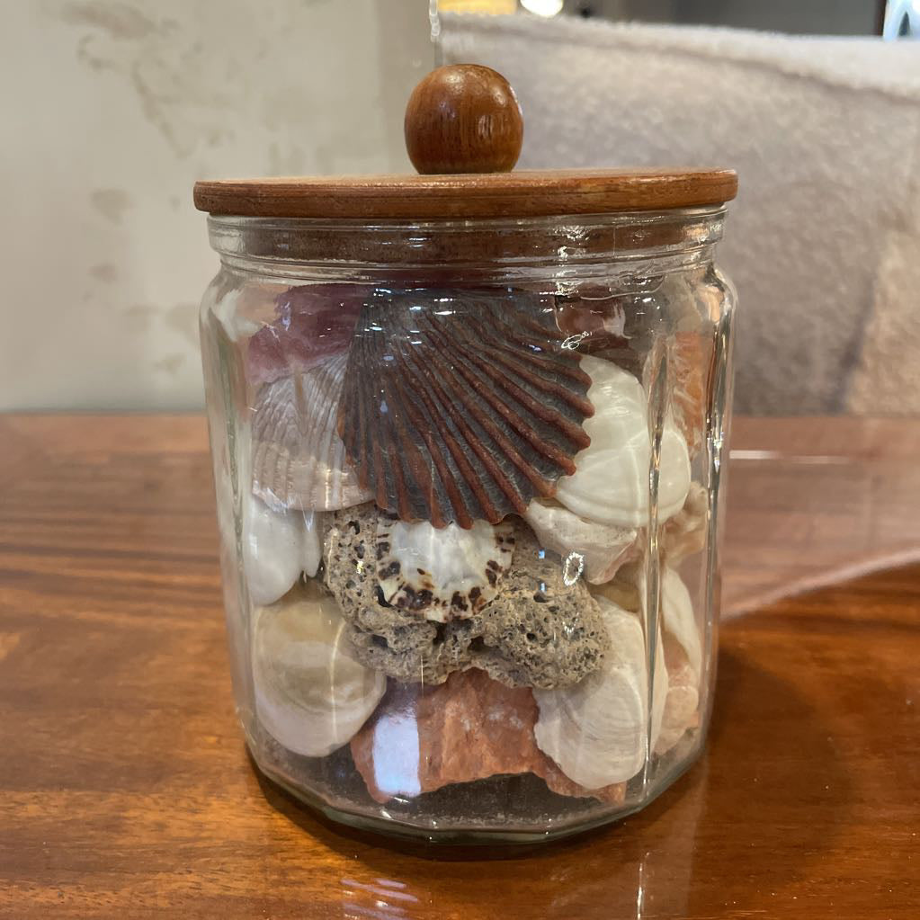 Jar of Shells SMALLS
