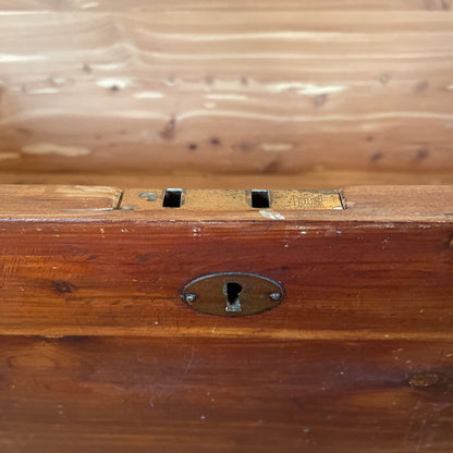 Red Cedar High Lacquer Trunk