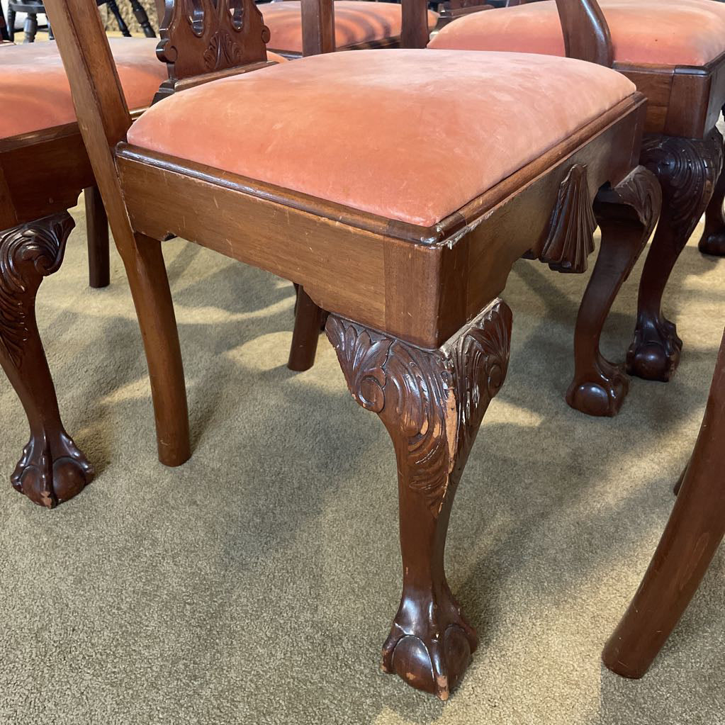 Philedelphia Centennial Chippendale Style Dining Chairs SET of 6 C DINING TABLES