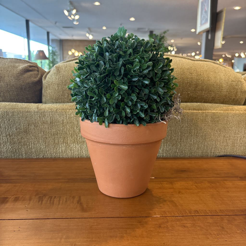 Faux Potted Boxwood Shrub SMALLS