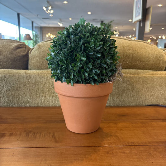 Faux Potted Boxwood Shrub SMALLS