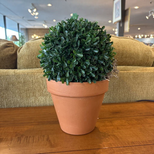 Faux Potted Boxwood Shrub SMALLS