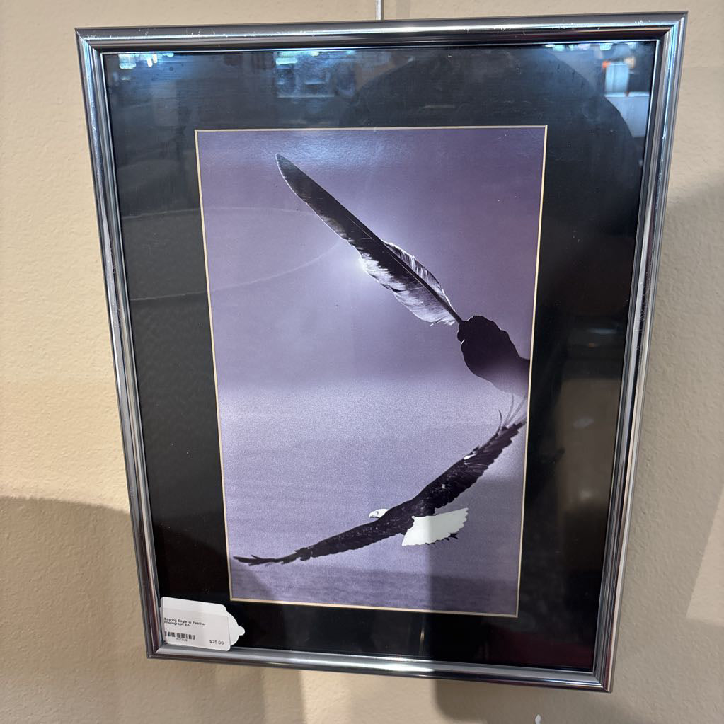 Soaring Eagle w Feather Photograph ART