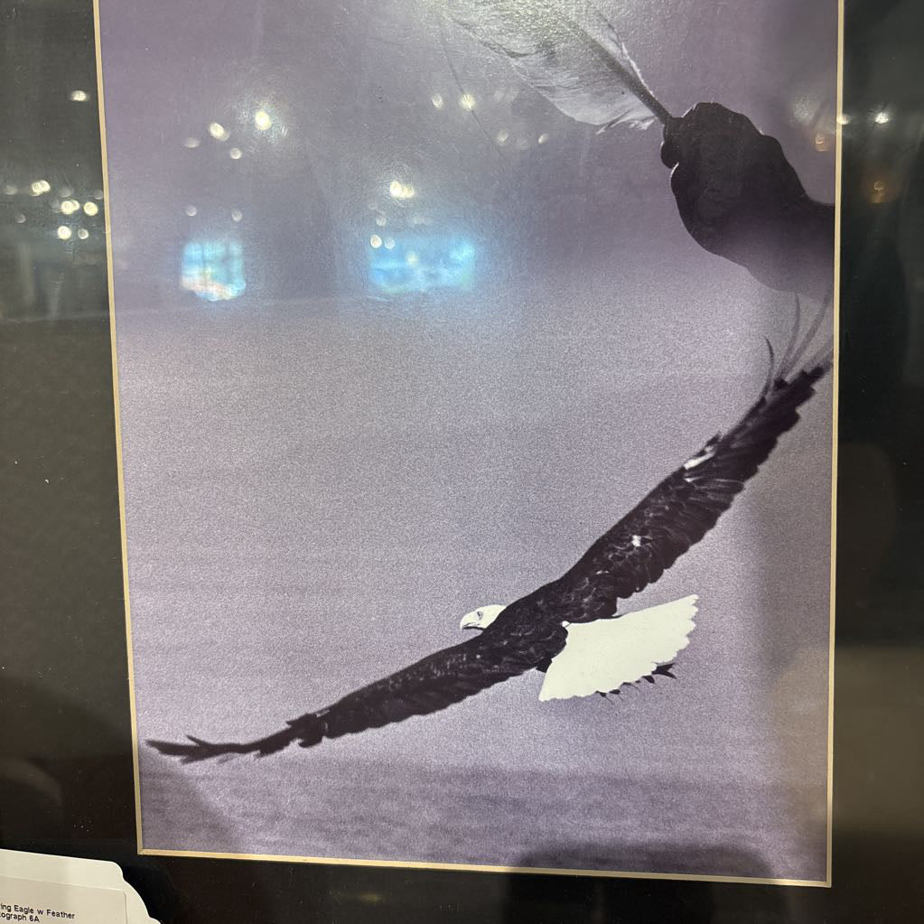 Soaring Eagle w Feather Photograph ART