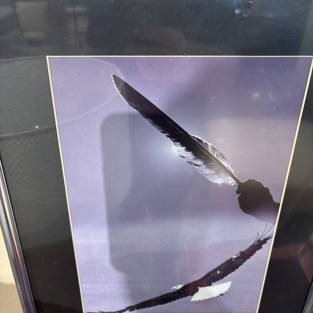 Soaring Eagle w Feather Photograph ART